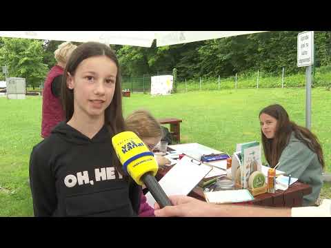 27. Mali likovni tabor