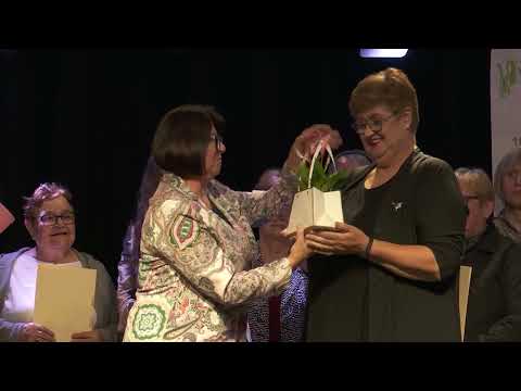 Novice, 28. april 2026