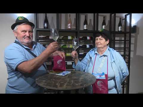 Dolenjski obzornik 16 junij 2026
