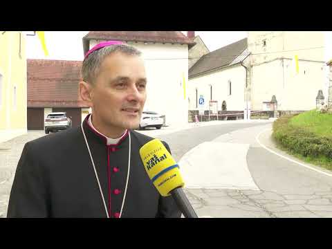 20 let novomeške škofije