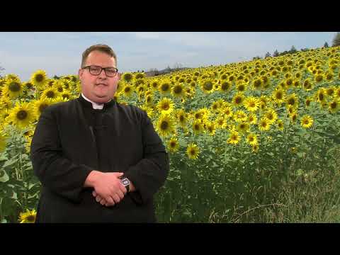 Nova obzorja, 11. oktober 2026
