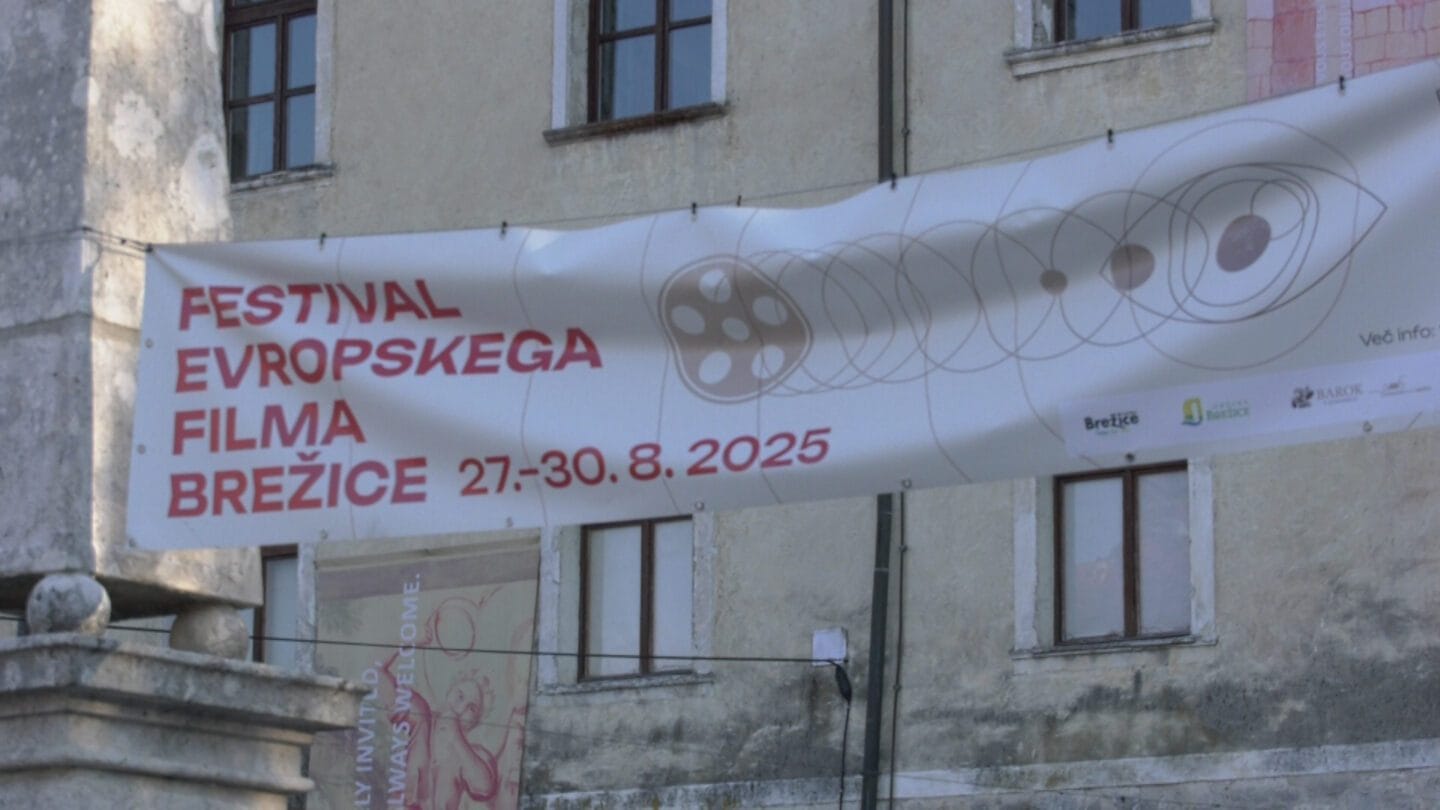 2. Festival evropskega filma v Brežicah