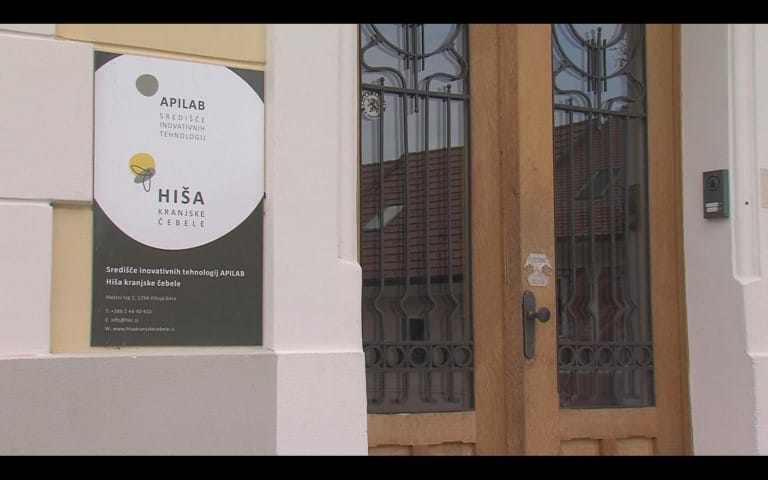 Hiša kranjske čebele po štirih letih