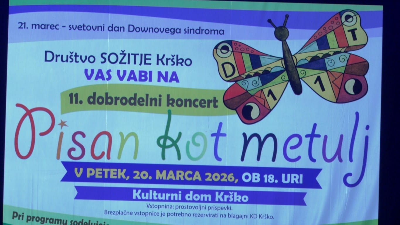 Dobrodelni koncert Pisan kot metulj Downov sindrom