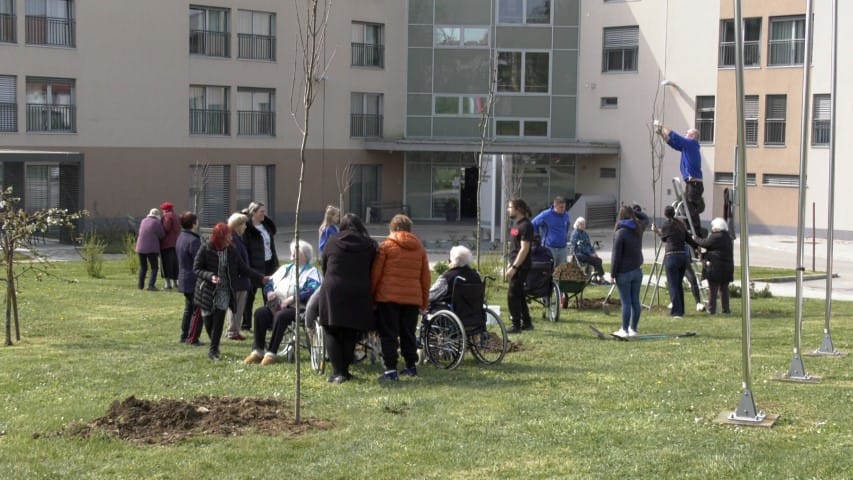 Rotary klubi in Avto Krka sadili medovita drevesa
