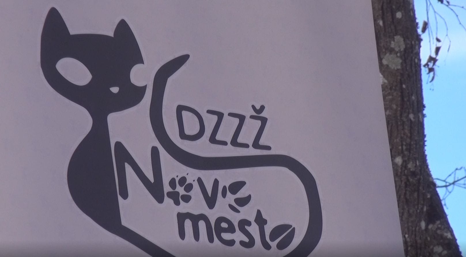 25 let Društva za zaščito živali Novo mesto