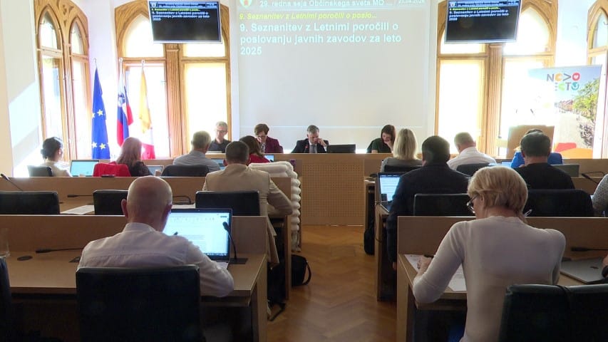 Na seji v Novem mestu o financah