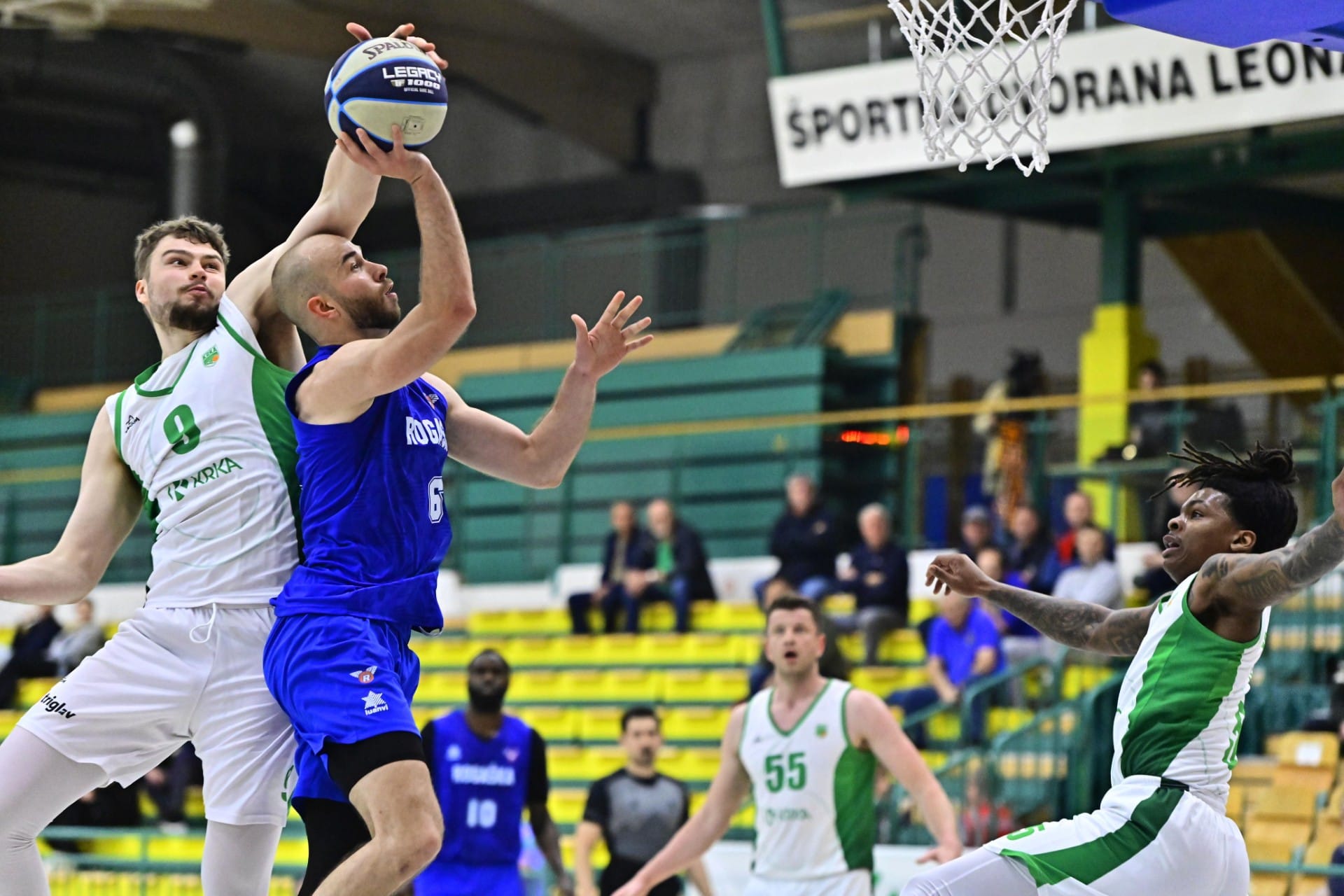 Nova zmaga košarkarjev Krke nad Rogaško