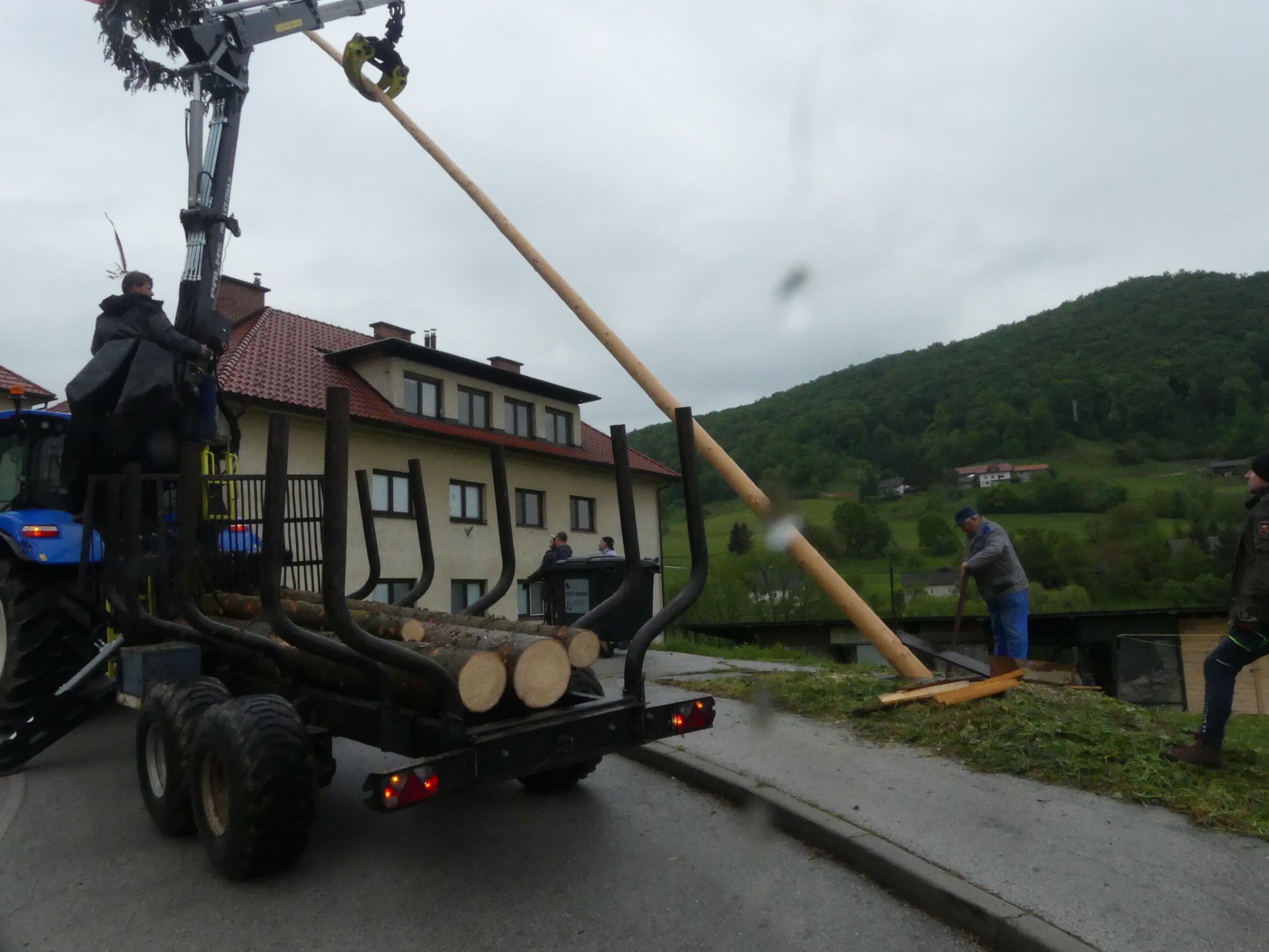 FOTO: Postavljanje mlaja na Senovem
