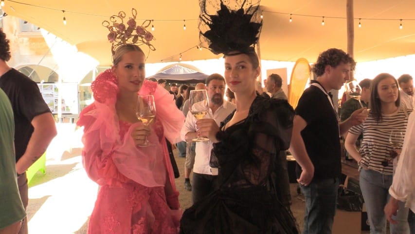 POP UP Wine festival na Grmskem gradu
