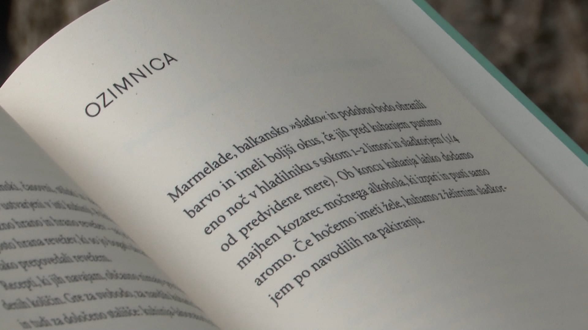 Začetek Novomeških poletnih večerov