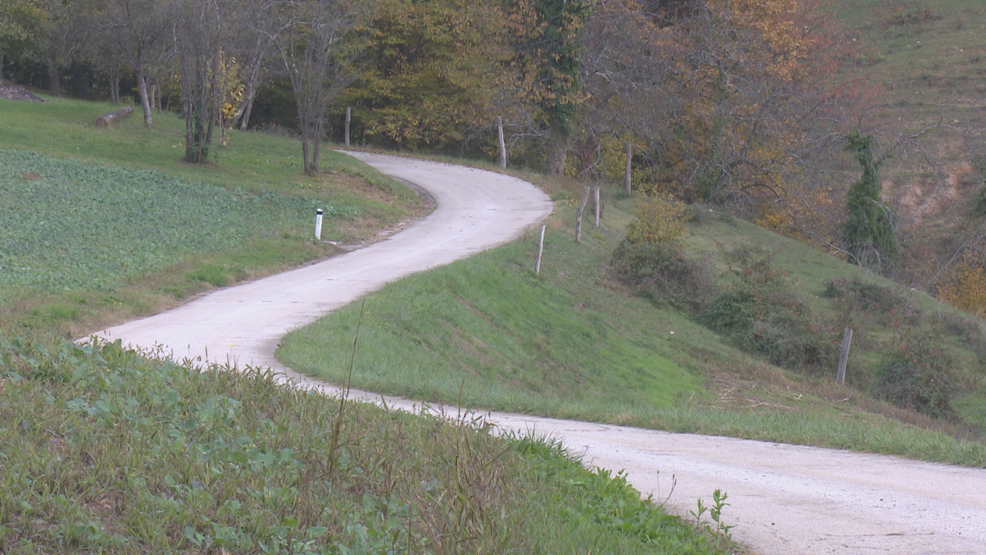 Načrtovane obnove cest v Škocjanu